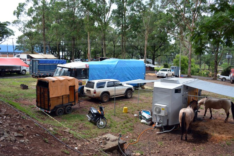 Laçadores começaram mostrar suas habilidades nas provas campeiras