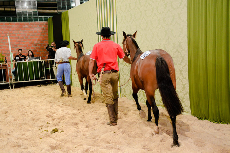 Leil&atilde;o Preciosidades integra programa&ccedil;&atilde;o do XI Rodeio Internacional de Soledade
