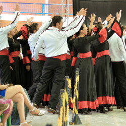 Dan&ccedil;as Tradicionais