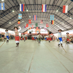 Dan&ccedil;as Tradicionais