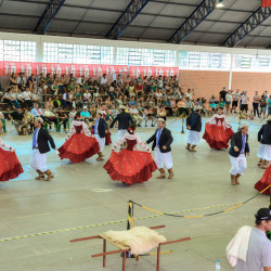 Dan&ccedil;as Tradicionais