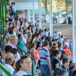 Abertura Oficial VIII Rodeio Internacional de Soledade