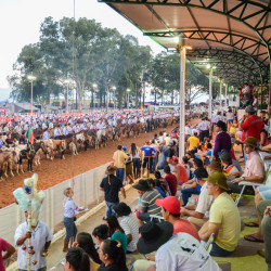 Abertura Oficial VIII Rodeio Internacional de Soledade