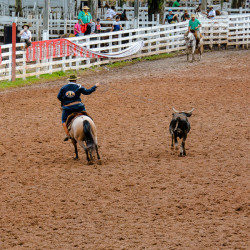 Rodeio 2016 - Provas Campeiras