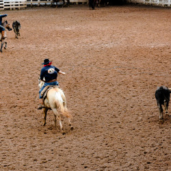 Rodeio 2016 - Provas Campeiras