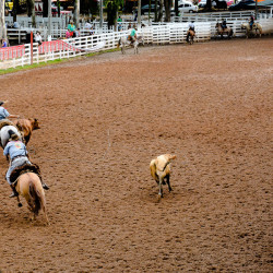 Rodeio 2016 - Provas Campeiras