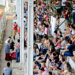 Rodeio 2016 - Provas Campeiras