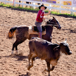 Rodeio 2016 - Provas Campeiras