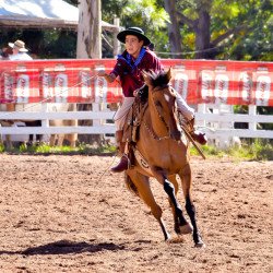 Rodeio 2016 - Provas Campeiras