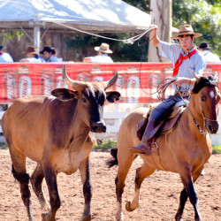 Rodeio 2016 - Provas Campeiras