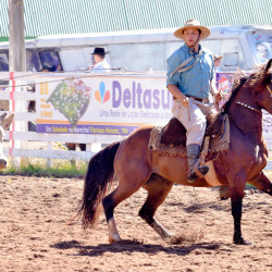 Rodeio 2016 - Provas Campeiras