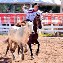 Rodeio 2016 - Provas Campeiras