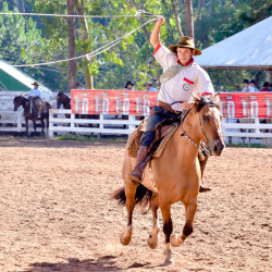 Rodeio 2016 - Provas Campeiras