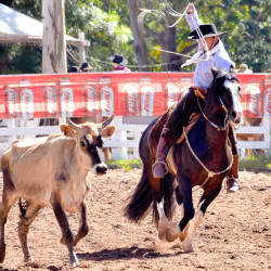 Rodeio 2016 - Provas Campeiras