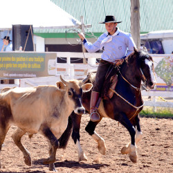 Rodeio 2016 - Provas Campeiras