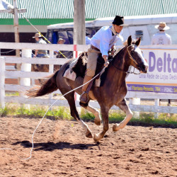 Rodeio 2016 - Provas Campeiras