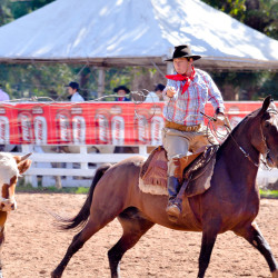 Rodeio 2016 - Provas Campeiras