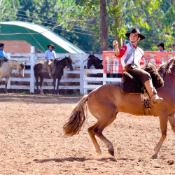 Rodeio 2016 - Provas Campeiras