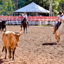 Rodeio 2016 - Provas Campeiras