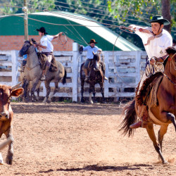 Rodeio 2016 - Provas Campeiras