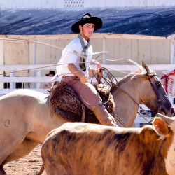 Rodeio 2016 - Provas Campeiras