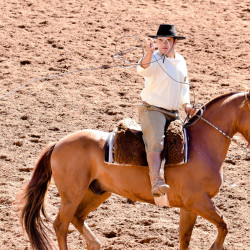 Rodeio 2016 - Provas Campeiras