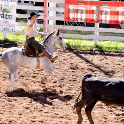 Rodeio 2016 - Provas Campeiras