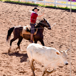 Rodeio 2016 - Provas Campeiras
