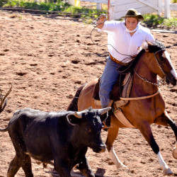 Rodeio 2016 - Provas Campeiras