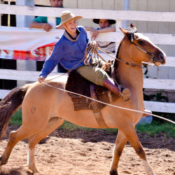 Rodeio 2016 - Provas Campeiras