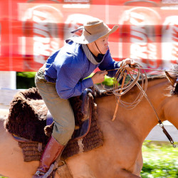 Rodeio 2016 - Provas Campeiras
