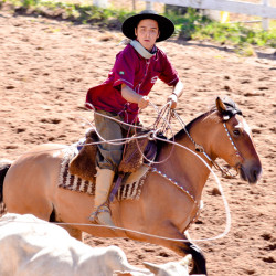 Rodeio 2016 - Provas Campeiras