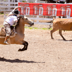 Rodeio 2016 - Provas Campeiras