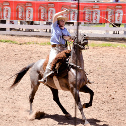 Rodeio 2016 - Provas Campeiras