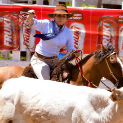 Rodeio 2016 - Provas Campeiras