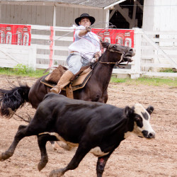 Rodeio 2016 - Provas Campeiras
