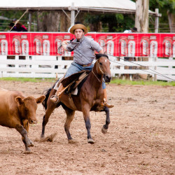 Rodeio 2016 - Provas Campeiras