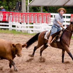 Rodeio 2016 - Provas Campeiras