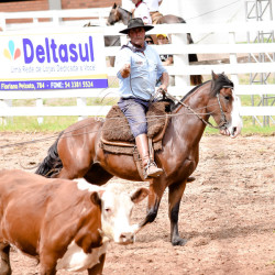 Rodeio 2016 - Provas Campeiras