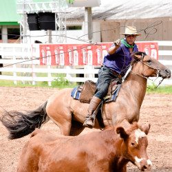 Rodeio 2016 - Provas Campeiras
