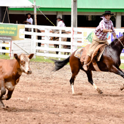 Rodeio 2016 - Provas Campeiras