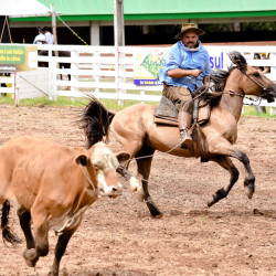 Rodeio 2016 - Provas Campeiras