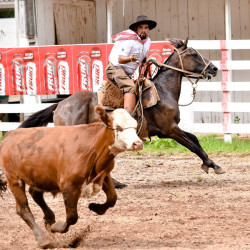 Rodeio 2016 - Provas Campeiras