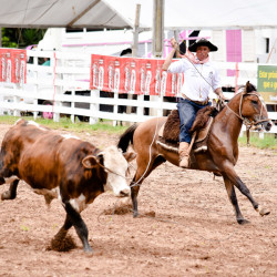 Rodeio 2016 - Provas Campeiras