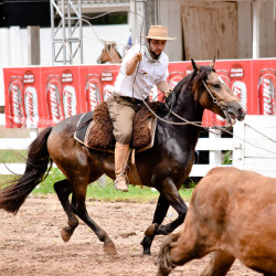 Rodeio 2016 - Provas Campeiras