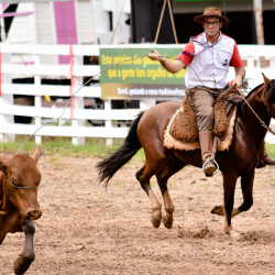Rodeio 2016 - Provas Campeiras