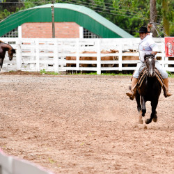 Rodeio 2016 - Provas Campeiras