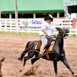 Rodeio 2016 - Provas Campeiras