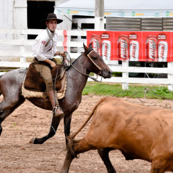 Rodeio 2016 - Provas Campeiras