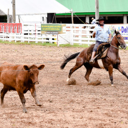 Rodeio 2016 - Provas Campeiras